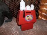 SNOOPY BANK
