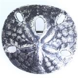 Estate James Avery sterling silver sand dollar pin: 13/16", 4 gms