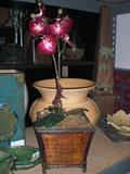 Silk orchids