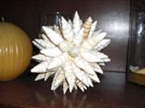Decorative ball made from shells