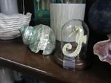 Seahorse under glass