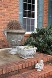 Large concrete planters  (small square one not for sale)