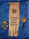 50 - Confederate Southern Memorial Assorted Ribbons and 1903 - 1906 pins.