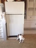fridge - dog not included
