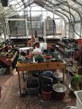 Green house is full!! Plants, pots....etc!!
