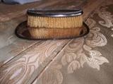 HORSEHAIR BRUSH AND SILVER PLATE