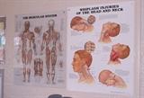 MEDICAL POSTERS LAMINATED