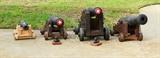 Collection of Cast Iron Signal Cannons