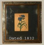 Very Nice 1832 Benjamin Maund Botanical Engraving