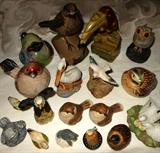 Little Bird Collection