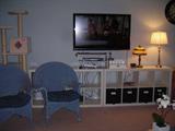 the kitty condo is not for sale. But the nice TV, storage unit with baskets are for sale