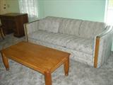 sleeper sofa and has matching love seat