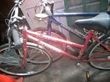 Schwinn Crossfit and Diamond Back