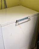 CHEST FREEZER