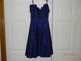 “Karen Lucas for Niki” dress. Textured floral indigo blue fabric.Scalloped
sweetheart neckline. Boning in bodice. Slightly off the shoulder short sleeves.
Wide skirt. Back zipper. Size 10.