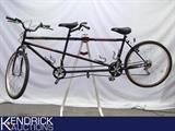 Northwoods Safari Tandem Bike
