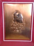 12"x9"  Copper Print "Protect What You Know"  signed Benketchan