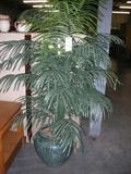 Decorative Artificial Plant