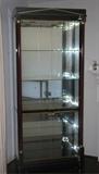 Design Institute of America lighted cabinet with glass doors and mirrored backing