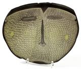 Lot#1002, JAY MUSLER (1949-), GLASS BOWL, 1982, W 16 1/2", L 13 1/2", THE FACE.Jay Musler [American, b. 1949]. Flameworked, cut, and painted glass bowl; signed and dated at underside, #F-8. Presented on stand.