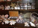 Large sea shell collection, also coral.
