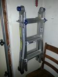 Folding Ladder