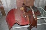 Horse Saddle