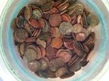 Ancient Roman coins..15 containers of Roman BC and AD coins...from The ruins of Rome