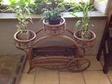 Bamboo plant display stand