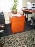 PART OF STUDY - FILE CABINET