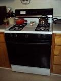Gas Stove