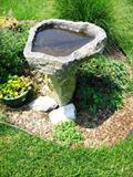 Steven Evankow birdbath