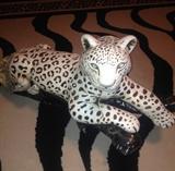 He is about 2 foot long