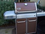 Weber Genesis gas grill