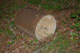 Rolling Soil Compactor