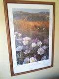 Framed Sierra Club Print