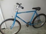 Schwinn Bike