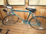 Murray 12 speed bicycle