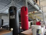 Boxing Bags