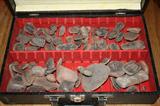 LARGEEEE collection of FOSSILS + Arrowheads