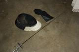 Fencing Outfit