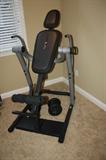 WEIDER INVERSION BENCH