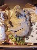 Bosson Koala