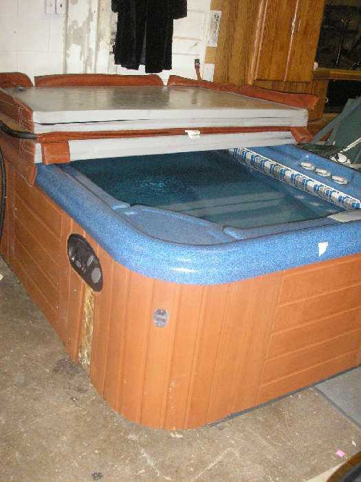 Hot springs hot tub