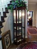                              Lighted curio cabinet