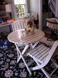                     Darling picnic table with 2 chairs