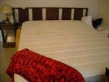 Queen Electric Bed