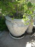 Very Large Cement Garden Pot
