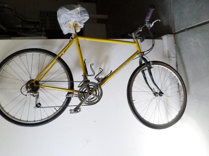 Diamond Back bicycle