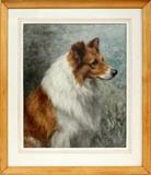 Lot#2020, FRANCES C. FAIRMAN (1836-1923), WATERCOLOR, 1898, 23" X 20" (VISIBLE), 'GLENBOY'Portrait of a collie dog, signed and dated 12 - 1898 lower right, titled upper left, under glass and matted in a beveled wood frame.  23" x 19 3/4" (visible).  Frances C. Fairman, British, 1836-1923.